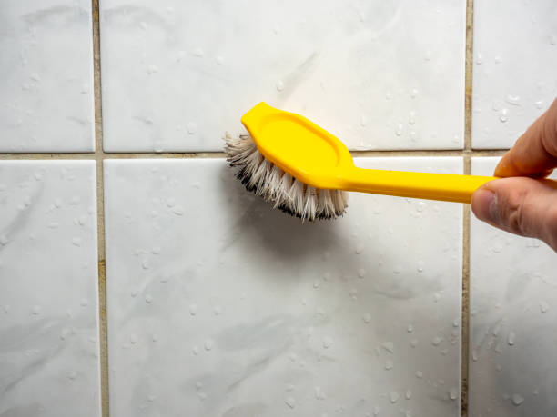 Best Emergency Mold Removal  in Townsend, MT