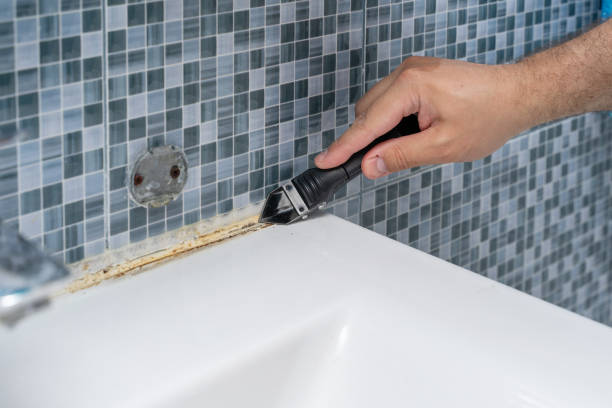 Best Best Mold Removal Companies  in Townsend, MT