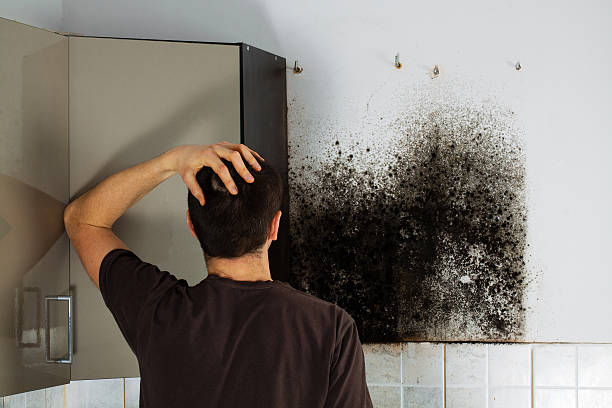 Best Residential Mold Removal  in Townsend, MT